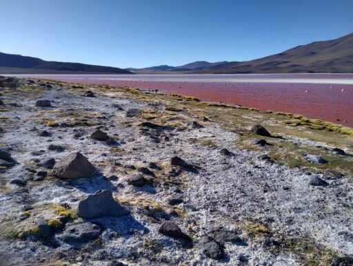 The Laguna Colorada in Bolivia