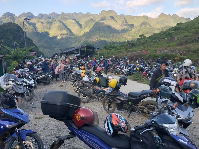 Lots of motorcycles parked